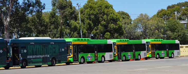 Adelaide Metro Foton FTH12 Hydrogen City Bus 1788, 1789, Scania K230EB Volgren Optimus 5807 & 5804